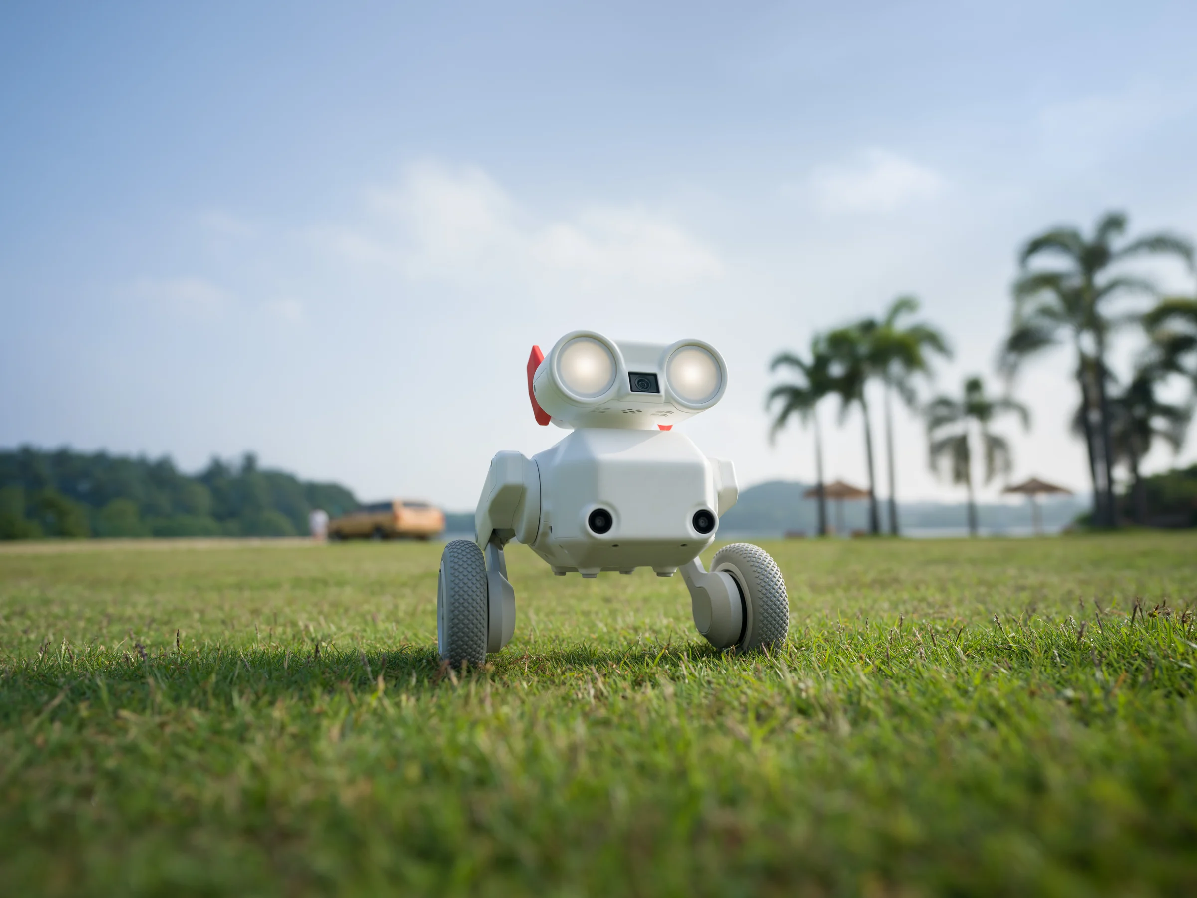 Beni Robotic Dog