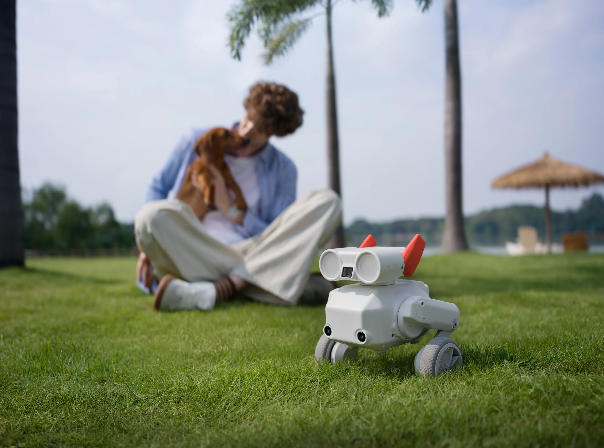 Beni Robotic Dog