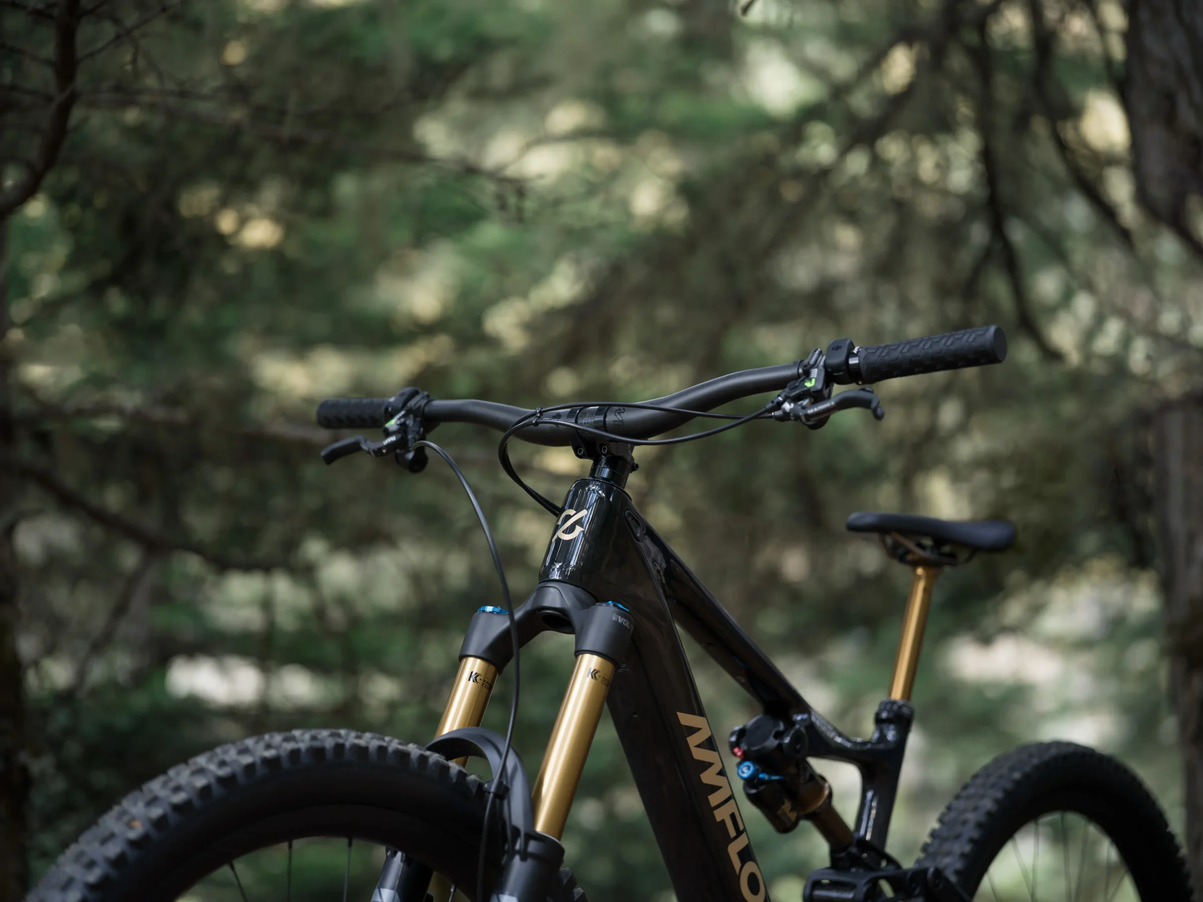 EB100 Bicycle Campaign