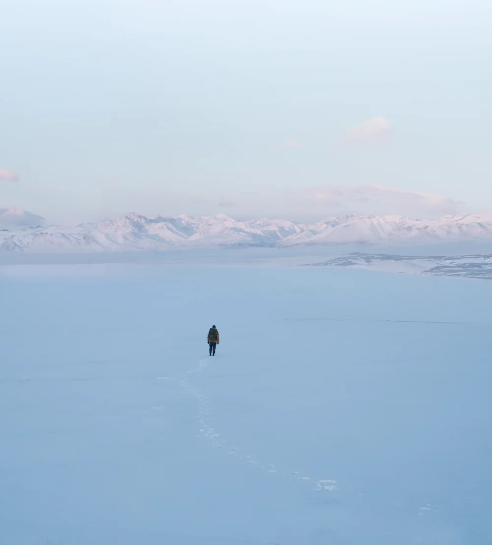 Mavic Air